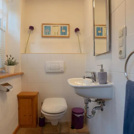 Lavendel * Börgerende-Rethwisch