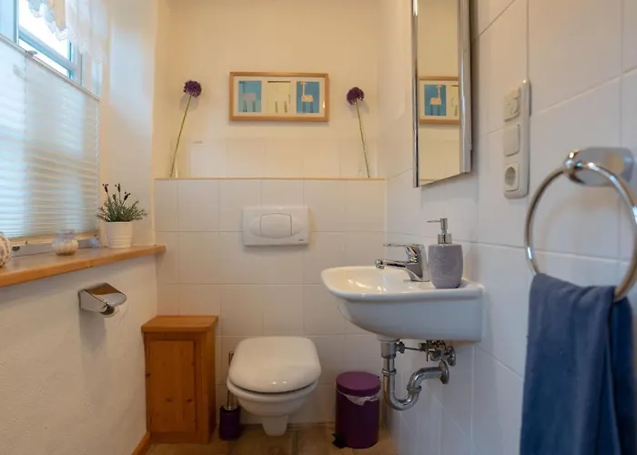 Lavendel * Börgerende-Rethwisch